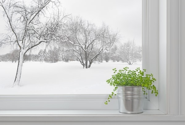 Winter landscape seen through the window